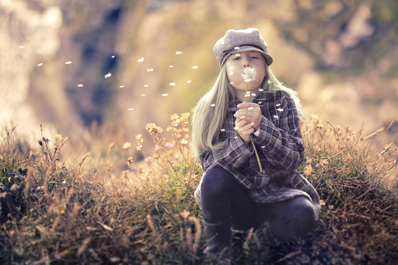 The Role of Wind Energy in Sustainable Living
